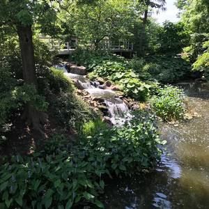 Meet your Posher, Lynne